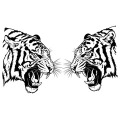 Two aggressive tiger heads vector illustration