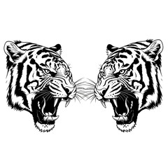Two roaring tiger heads vector illustration