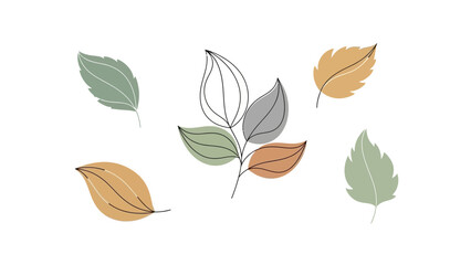 Set of minimalist leaf illustrations simple line art and flat color vector design isolated on white background