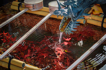 京都、五條天神宮の手水舎と龍