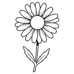 Hand drawn daisy flower illustration isolated on white background. High quality black and white sketch perfect for floral patterns nature themes and spring designs.