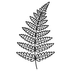 Naklejka premium Hand drawn fern leaf illustration isolated on white background. High quality black and white sketch perfect for botanical prints forest themes and organic designs.