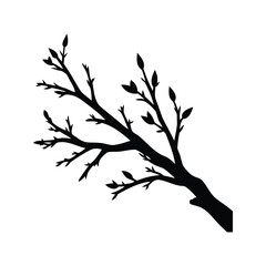 Obraz premium Black silhouette of a budding tree branch against a white background, dead willow branch silhouette vector illustration