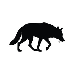 Silhouette of a walking wolf, artistic black and white minimalist design, wolf tracking scent silhouette vector illustration