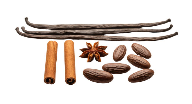 Aromatic spices isolated PNG, including vanilla beans, cinnamon sticks, star anise, and nutmeg on transparent background, culinary ingredients