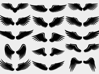 Eagle Wings Vector Set Collection Detailed Wing Vector Art Design