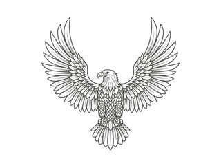 Elegant Eagle Wings Line Art Vector Illustration Spread Upward Luxury Style