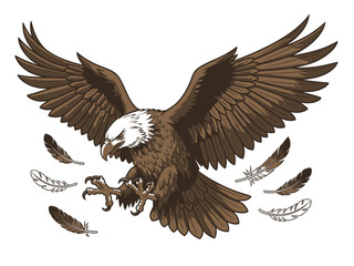 Eagle Landing Pose Vector Art Detailed Feather Illustration Realistic Style