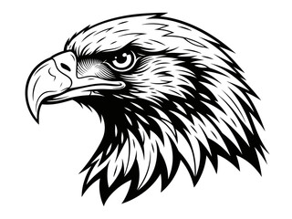 Eagle Head Side Profile Vector Illustration Sharp Beak High Contrast Graphic Art