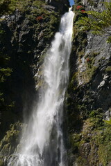 Obraz premium Scenic waterfall at Devil’s Punchbowl, South Island New Zealand