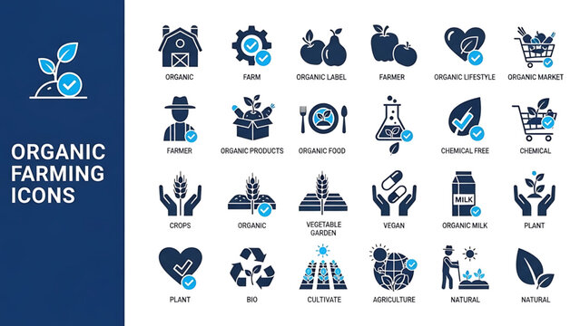 Solid vector icons collection featuring templates, layouts, flowcharts, diagrams, forms, wireframes, tables, grids, onboarding, IT support, communication, business structure, budget, and advertising.