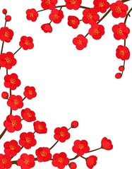 Vibrant Red Plum Blossoms on Branches Against White Background.