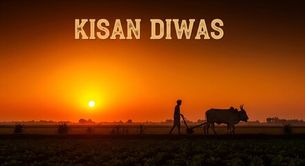 Celebrate Kisan Diwas a vibrant sunset over a tranquil field with a farmer and ox plowing, a powerful symbol of agriculture and rural life