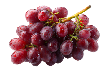 Fresh red grapes with water droplets isolated on a black background