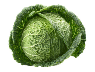 Fototapeta premium A vibrant green cabbage displayed against a stark black background