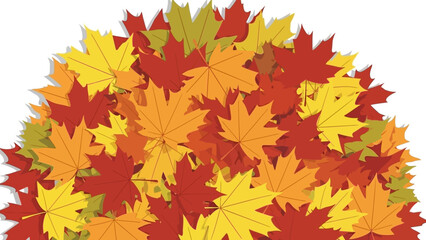 Fototapeta premium A vibrant, dense pile of colorful autumn maple leaves in shades of red, orange, and yellow, against a clean white background.