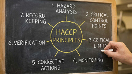 Hand writing the seven principles of HACCP system on blackboard for food safety education and industrial hygiene training diagram with chalk text