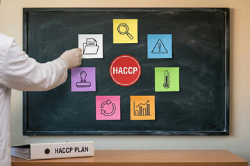 Food safety instructor organizing HACCP principles on blackboard with colorful icon cards and binder plan for industrial hygiene training session and education