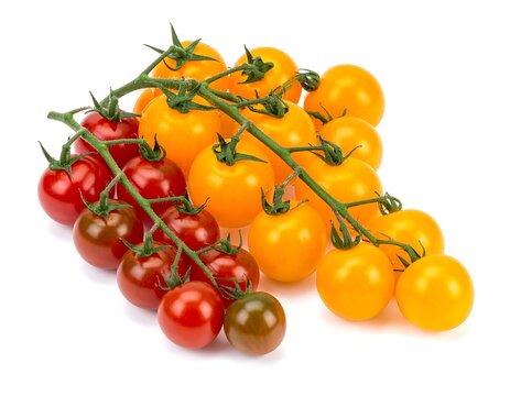 Colorful cluster of ripe tomatoes