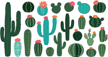 Large Collection of Colorful Cactus and Succulent Plants Vector Set Illustrating Various Species, Including Saguaro, Barrel, and Prickly Pear Cacti with Bright Desert Flowers © Rumi
