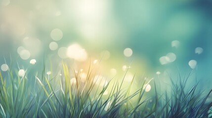 Obraz premium A serene, blurred background featuring gentle green grass and soft bokeh effects, a tranquil and dreamy atmosphere, floral rainbow background