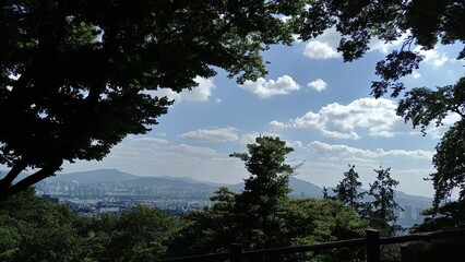 서울 남산 타워 공원 경치