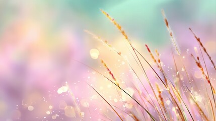 A soft, dreamy background with delicate grass strands, illuminated by gentle light, a serene and tranquil atmosphere, floral rainbow background