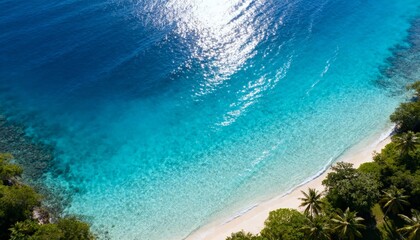 Serene aerial view of a tropical beach paradise with crystal clear turquoise water and lush green foliage under bright sunlight.