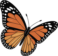 Monarch Butterfly Vector Illustration – Detailed Orange and Black Winged Insect Artwork