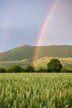 Rainbow in front of big hill with green trees. In the background you can see the old castle Teck, in the foreground wheat field and beautiful trees.