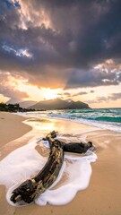 Sunrise over a tropical beach, with driftwood in the surf and dramatic sky