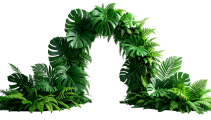 Lush green archway of tropical foliage, dense and vibrant, against a stark black backdrop