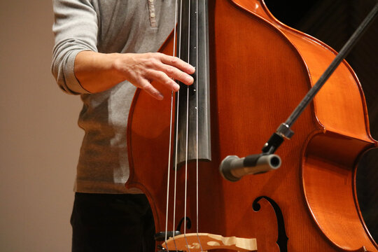 コントラバスの演奏をする男性