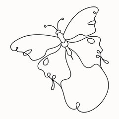 butterfly on a white background