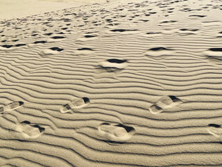 砂漠（砂丘）の風紋と足跡