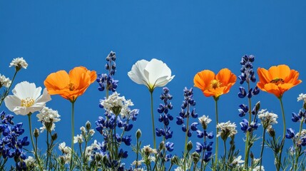 Vibrant flowers in various colors against a vibrant blue sky