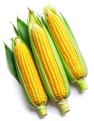 Three ripe ears of sweet corn with green husks and leaves on white