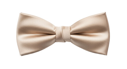 Elegant champagne colored silk bow tie isolated on black background