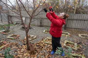 Woman trimming fruit tree limbs in her backyard garden on an overcast autumn day wearing a red jacket and gloves, pruning carefully to maintain tree health and improve next season fruit yield