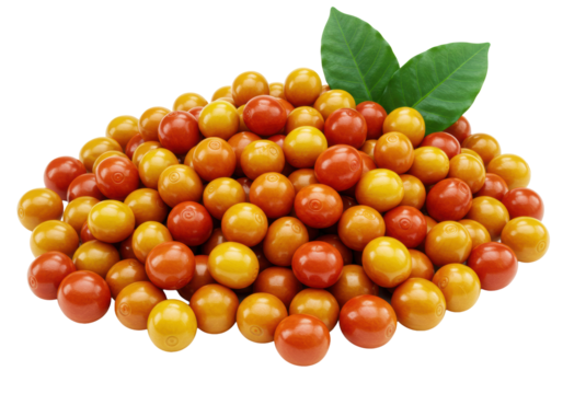 Abundant pile of dewy, highly saturated yellow and orange arabica coffee cherries, photographed in studio macro detail against transparent copy space. concept of premium harvest quality - Powered by Adobe