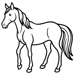 Obraz premium horse vector illustration