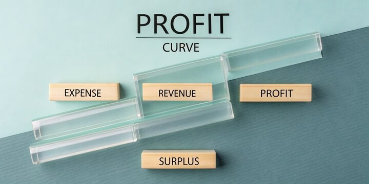 Visual Representation of Profit Curve with Revenue, Expense, Profit, and Surplus Blocks on Two-Tone Background