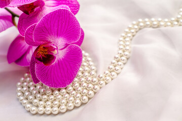 The branch of purple orchids on white fabric background