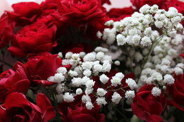 Beautiful arrangement of red roses and white flowers in a vibrant bouquet for special occasions