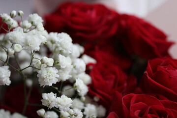 Beautiful arrangement of red roses and white flowers for a special occasion or celebration