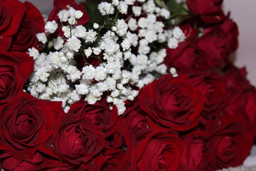 Beautiful red rose bouquet with white filler flowers arranged for a special occasion