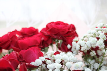 Beautiful red roses and delicate white flowers arranged elegantly for a special occasion