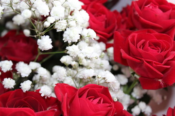 Beautiful red roses with white baby’s breath in a vibrant floral arrangement on a sunny day