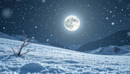 frosted silver grey 170: cold moonlit grey, fine crystalline grain, cold winter reflection, accented with light blue grain tint, composition: centered minimalist text area, use: editorial cover