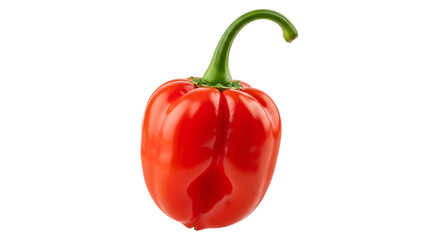 Single red habanero pepper isolated on a black background